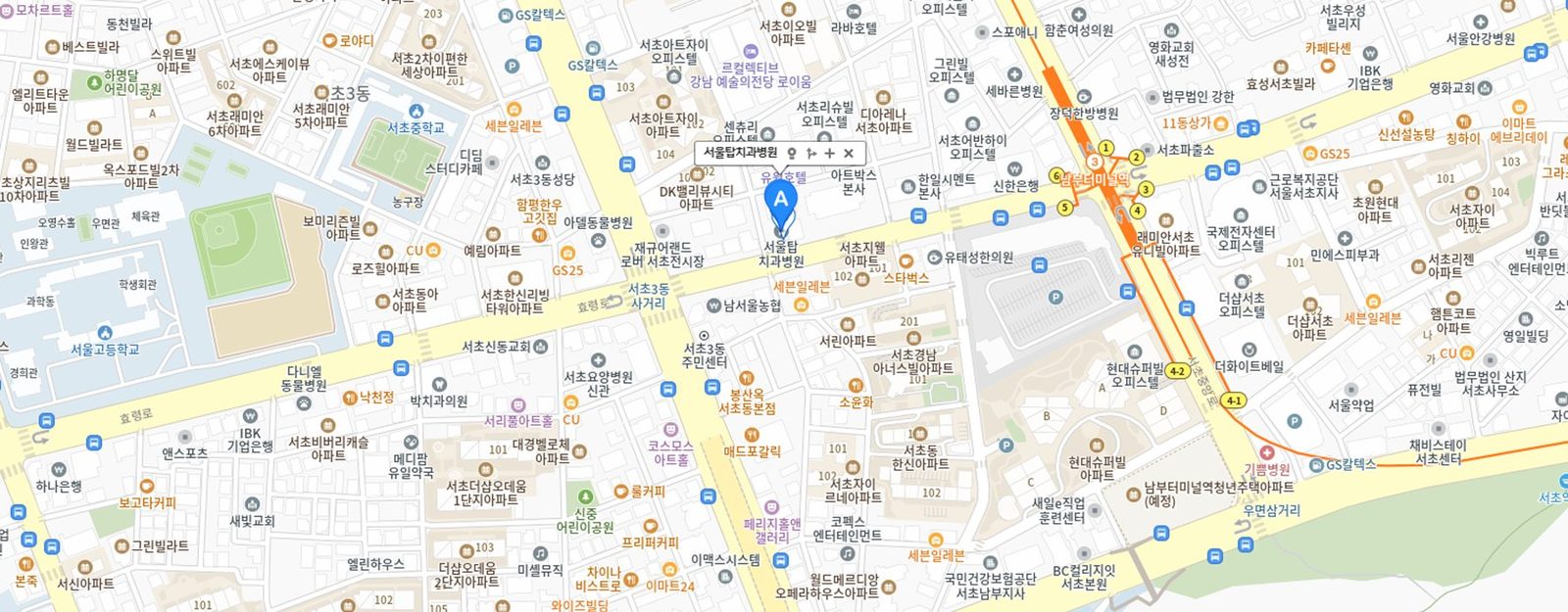 서울탑치과병원 위치 지도 — 3호선 남부터미널역 인근