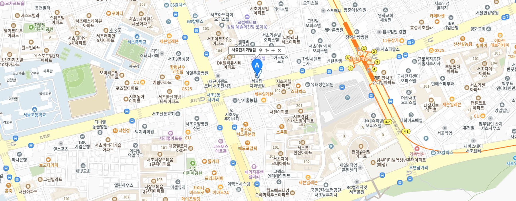 서울탑치과병원 위치 지도 — 3호선 남부터미널역 인근